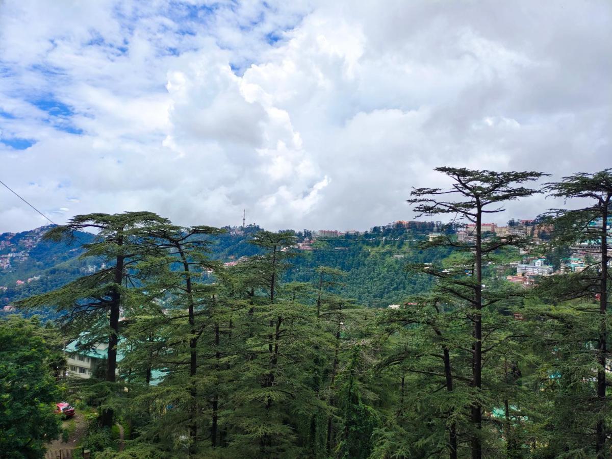 Mountain Zest-Simla Royale Near Mall Road-Free Pickup From Railway Station Simla Bagian luar foto